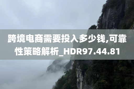 跨境电商需要投入多少钱,可靠性策略解析_HDR97.44.81