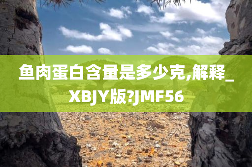 鱼肉蛋白含量是多少克,解释_XBJY版?JMF56