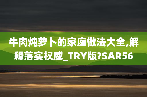 牛肉炖萝卜的家庭做法大全,解释落实权威_TRY版?SAR56