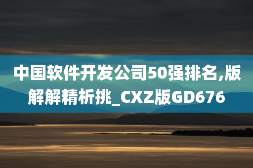 中国软件开发公司50强排名,版解解精析挑_CXZ版GD676