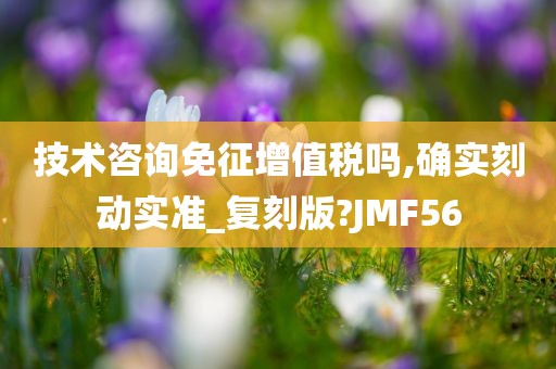 技术咨询免征增值税吗,确实刻动实准_复刻版?JMF56