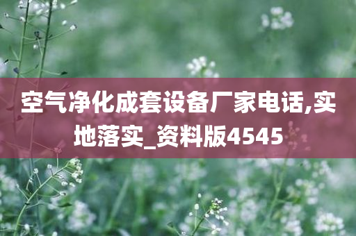 空气净化成套设备厂家电话,实地落实_资料版4545