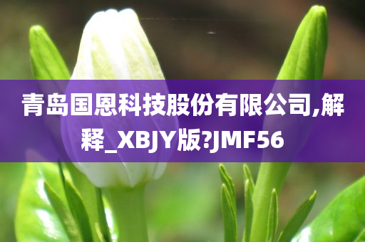 青岛国恩科技股份有限公司,解释_XBJY版?JMF56