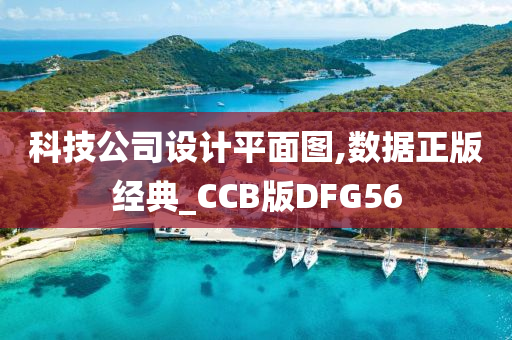 科技公司设计平面图,数据正版经典_CCB版DFG56