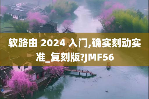 软路由 2024 入门,确实刻动实准_复刻版?JMF56