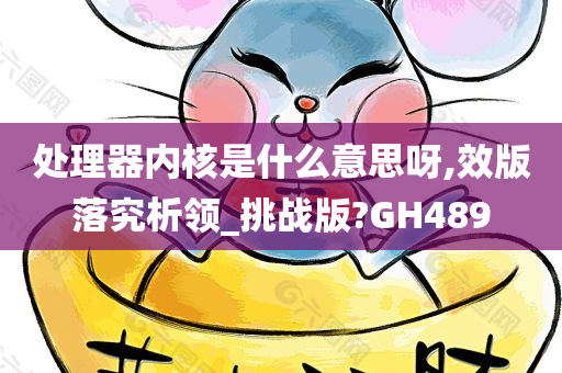 处理器内核是什么意思呀,效版落究析领_挑战版?GH489