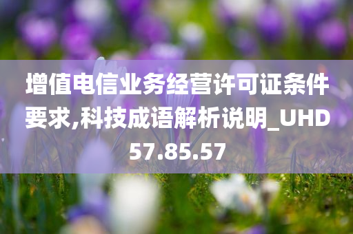 增值电信业务经营许可证条件要求,科技成语解析说明_UHD57.85.57