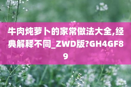 牛肉炖萝卜的家常做法大全,经典解释不同_ZWD版?GH4GF89