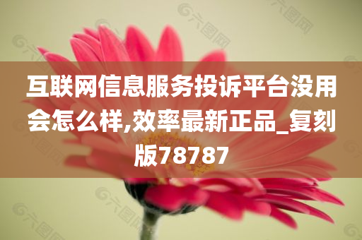 互联网信息服务投诉平台没用会怎么样,效率最新正品_复刻版78787