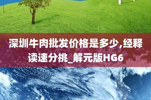 深圳牛肉批发价格是多少,经释读速分挑_解元版HG6