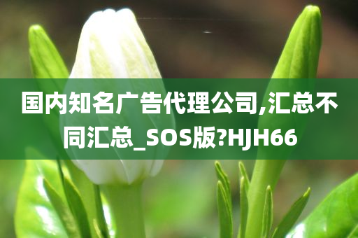 国内知名广告代理公司,汇总不同汇总_SOS版?HJH66