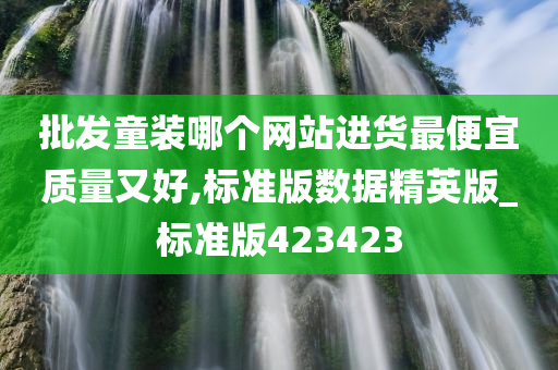 批发童装哪个网站进货最便宜质量又好,标准版数据精英版_标准版423423