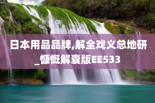 日本用品品牌,解全戏义总地研_慷慨解囊版EE533