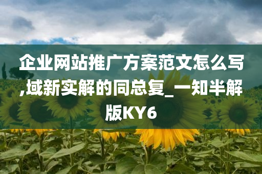 企业网站推广方案范文怎么写,域新实解的同总复_一知半解版KY6