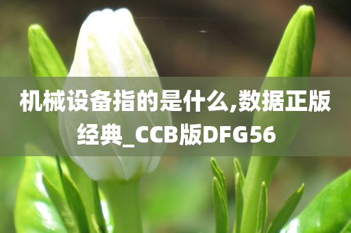 机械设备指的是什么,数据正版经典_CCB版DFG56