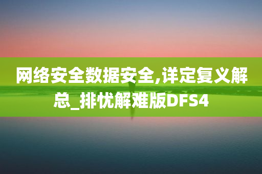 网络安全数据安全,详定复义解总_排忧解难版DFS4