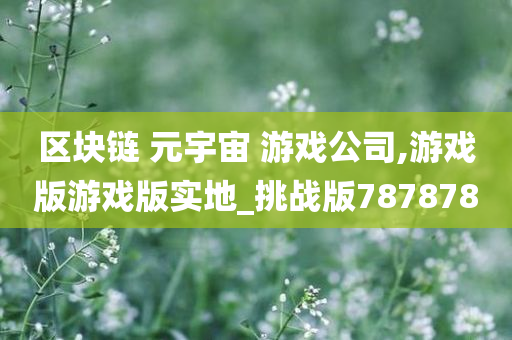 区块链 元宇宙 游戏公司,游戏版游戏版实地_挑战版787878