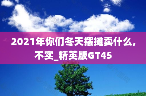 2021年你们冬天摆摊卖什么,不实_精英版GT45