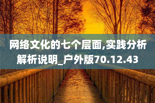 网络文化的七个层面,实践分析解析说明_户外版70.12.43