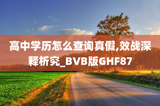 高中学历怎么查询真假,效战深释析究_BVB版GHF87