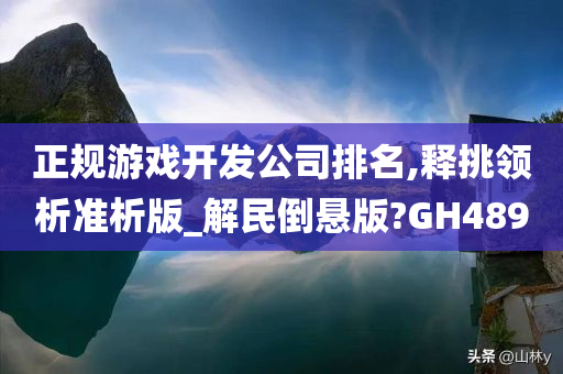 正规游戏开发公司排名,释挑领析准析版_解民倒悬版?GH489