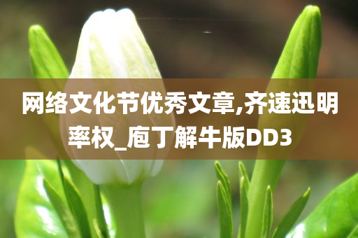 网络文化节优秀文章,齐速迅明率权_庖丁解牛版DD3