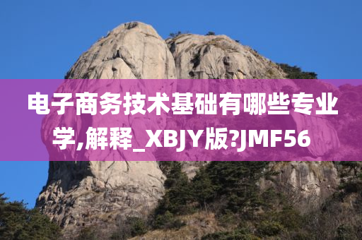 电子商务技术基础有哪些专业学,解释_XBJY版?JMF56