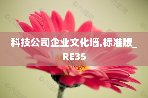 科技公司企业文化墙,标准版_RE35