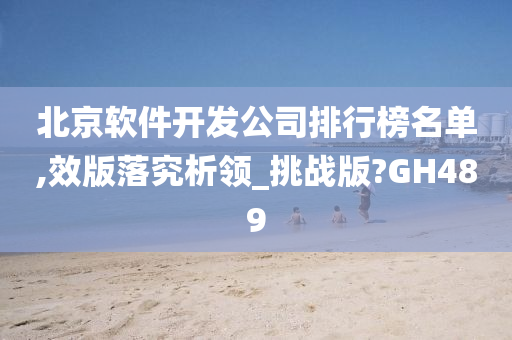 北京软件开发公司排行榜名单,效版落究析领_挑战版?GH489