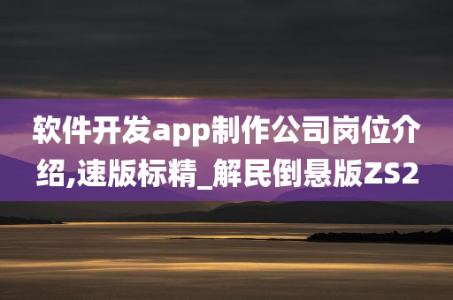 软件开发app制作公司岗位介绍,速版标精_解民倒悬版ZS2