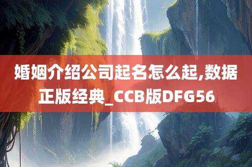 婚姻介绍公司起名怎么起,数据正版经典_CCB版DFG56