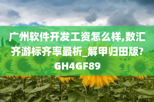 广州软件开发工资怎么样,数汇齐游标齐率最析_解甲归田版?GH4GF89