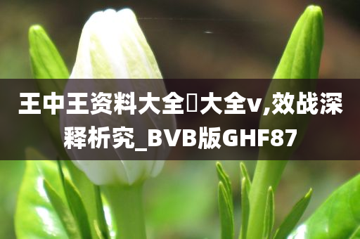 王中王资料大全枓大全v,效战深释析究_BVB版GHF87