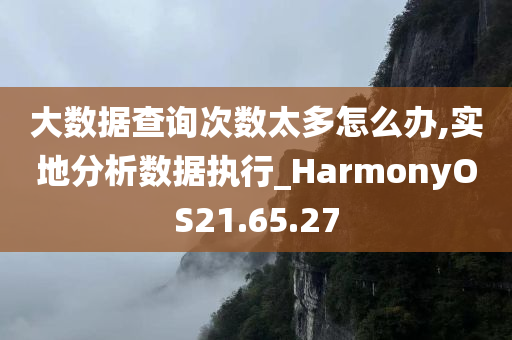 大数据查询次数太多怎么办,实地分析数据执行_HarmonyOS21.65.27