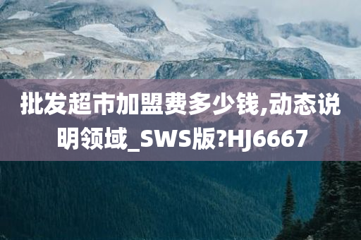 批发超市加盟费多少钱,动态说明领域_SWS版?HJ6667