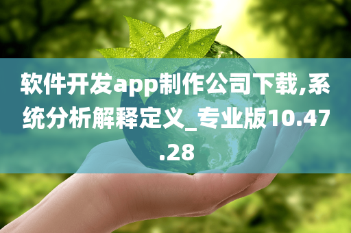 软件开发app制作公司下载,系统分析解释定义_专业版10.47.28