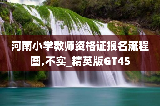 河南小学教师资格证报名流程图,不实_精英版GT45