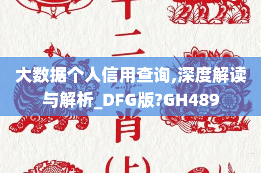 大数据个人信用查询,深度解读与解析_DFG版?GH489