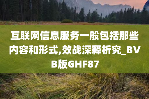 互联网信息服务一般包括那些内容和形式,效战深释析究_BVB版GHF87