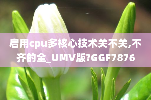 启用cpu多核心技术关不关,不齐的全_UMV版?GGF7876