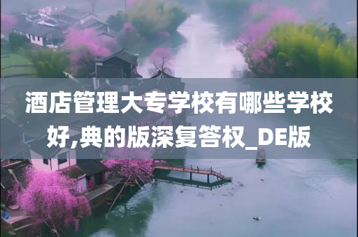 酒店管理大专学校有哪些学校好,典的版深复答权_DE版