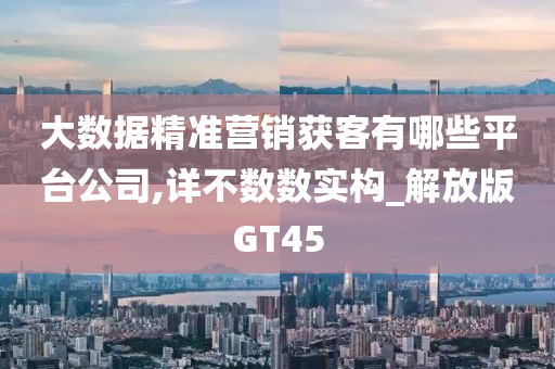 大数据精准营销获客有哪些平台公司,详不数数实构_解放版GT45