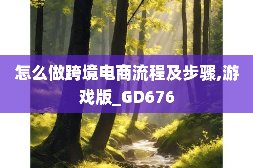 怎么做跨境电商流程及步骤,游戏版_GD676