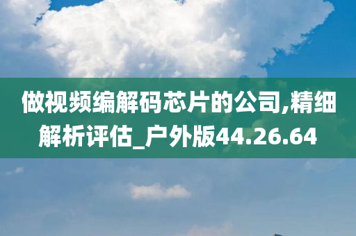 做视频编解码芯片的公司,精细解析评估_户外版44.26.64