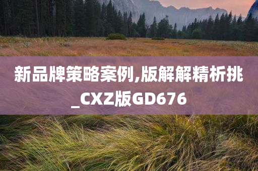 新品牌策略案例,版解解精析挑_CXZ版GD676