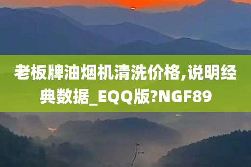 老板牌油烟机清洗价格,说明经典数据_EQQ版?NGF89