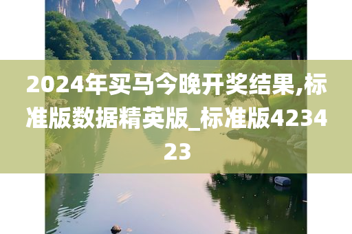 2024年买马今晚开奖结果,标准版数据精英版_标准版423423