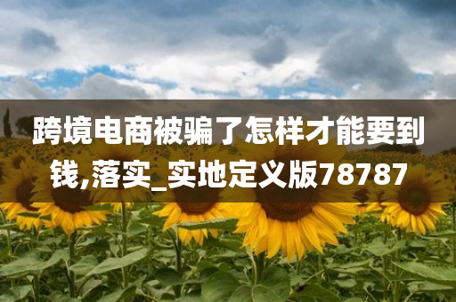 跨境电商被骗了怎样才能要到钱,落实_实地定义版78787