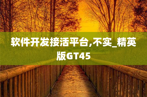 软件开发接活平台,不实_精英版GT45