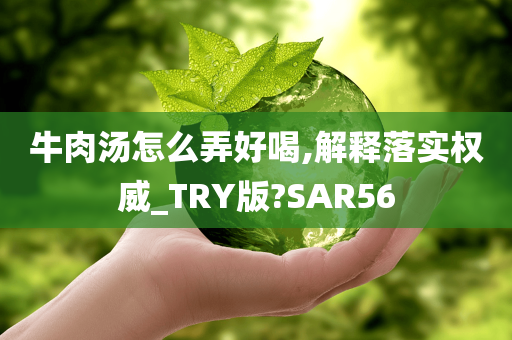 牛肉汤怎么弄好喝,解释落实权威_TRY版?SAR56